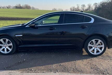 Jaguar XF 254.000 km 7.990 &euro; Recklinghausen 45665