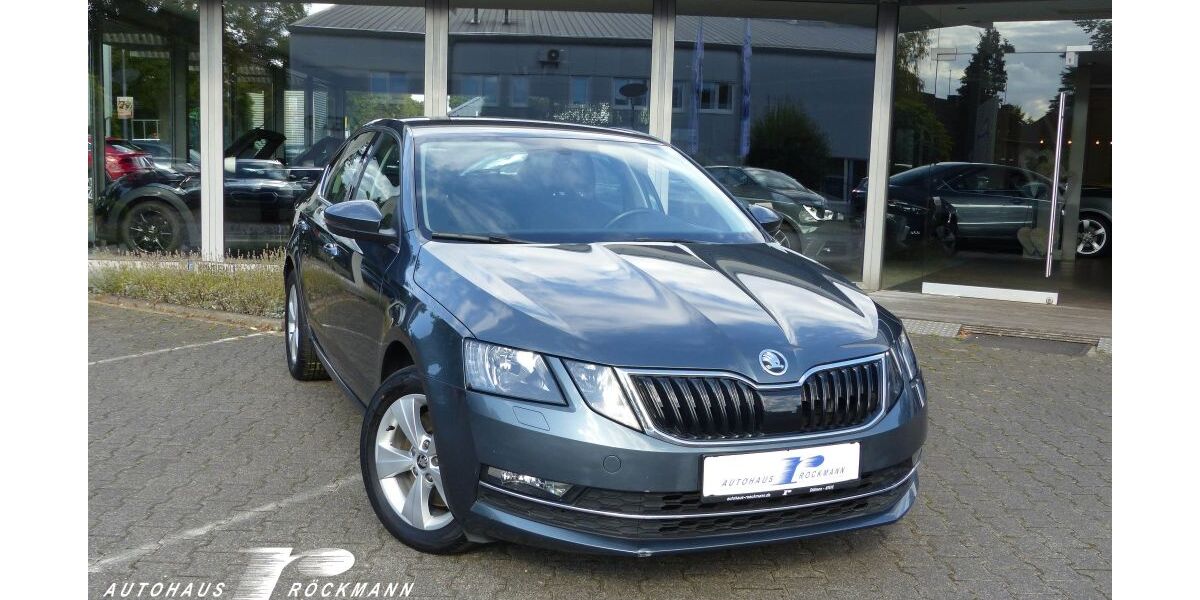 Skoda Octavia 99.852 km 17.970 &euro; Dülmen 48249