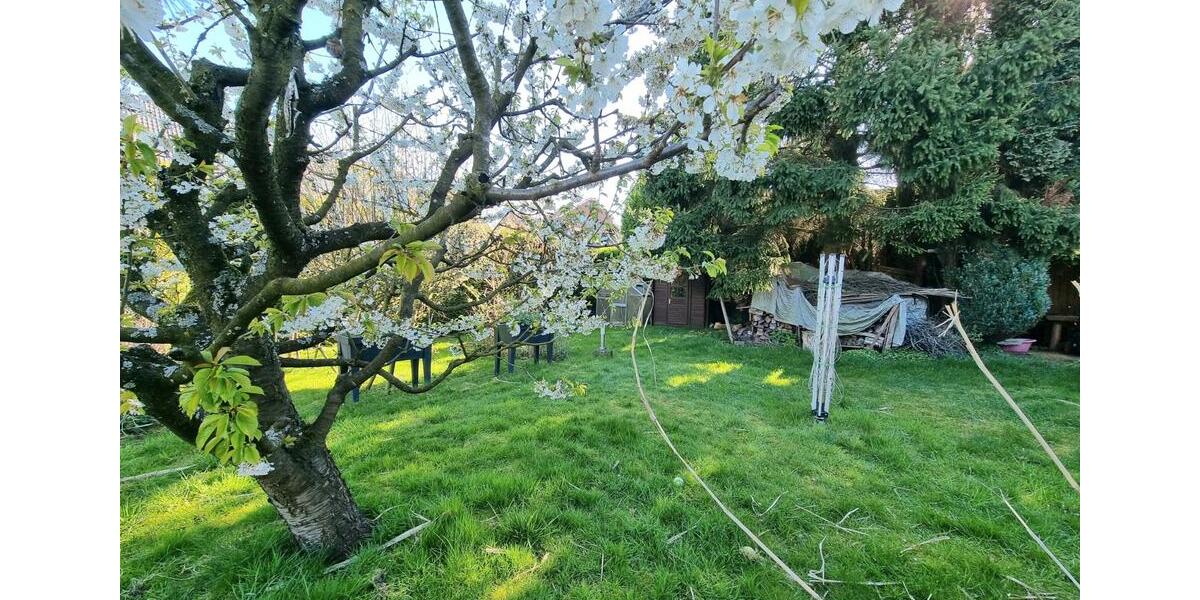 Mehrfamilienhaus, Wohnhaus Essen Stadtbezirk IV - 599.000&euro; | Angebot:26267426