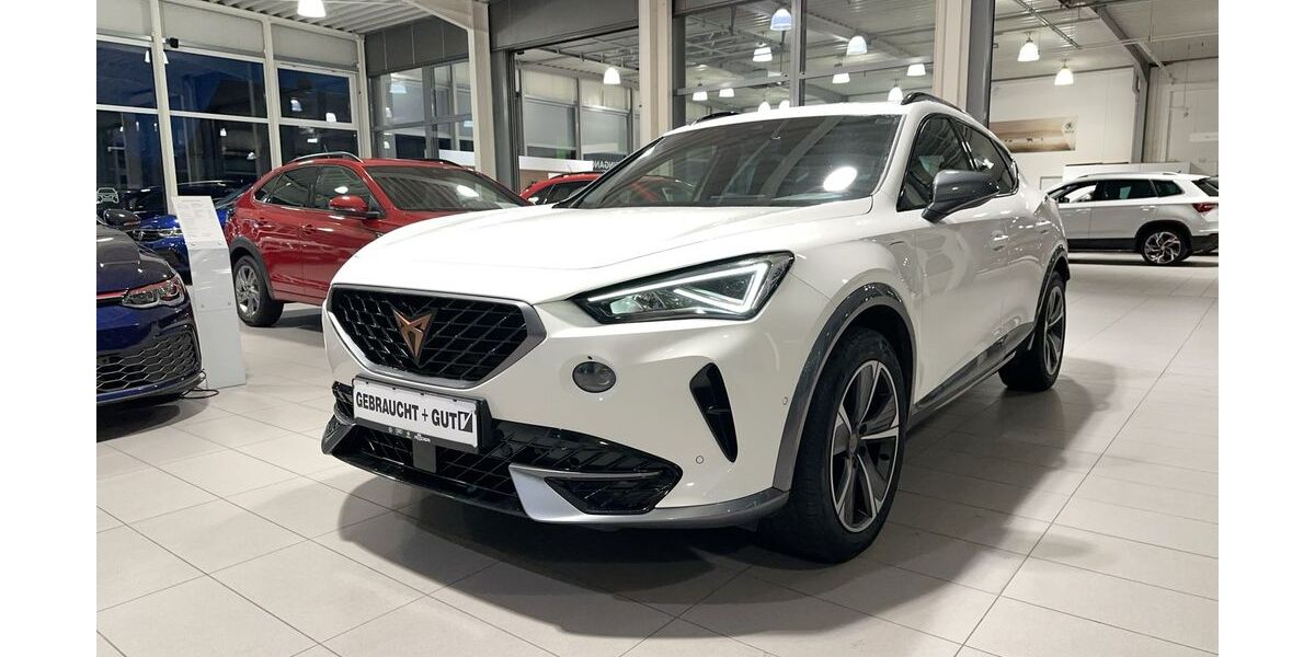 Cupra Formentor 59.130 km 23.990 &euro; Hünxe 46569