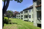Etagenwohnung Gelsenkirchen Buer - 2.5 Zimmer, 47 m&sup2;, 350&euro; | Angebot:22220893