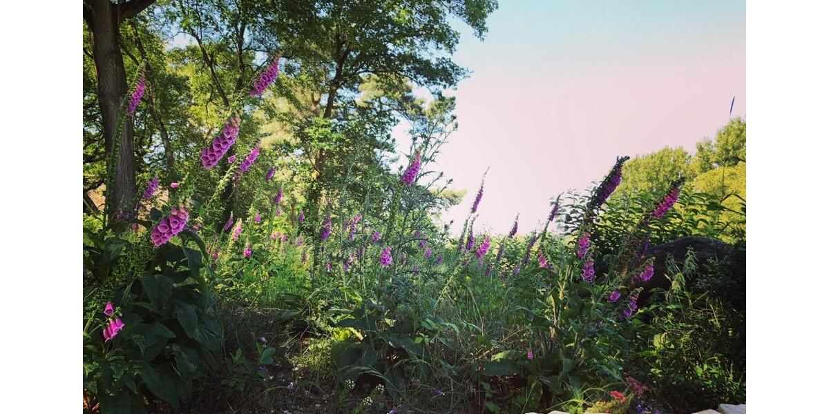 Einfamilienhaus Wesel Fusternberg - 5 Zimmer, 162 m&sup2;, 579.000&euro; | Angebot:25419128