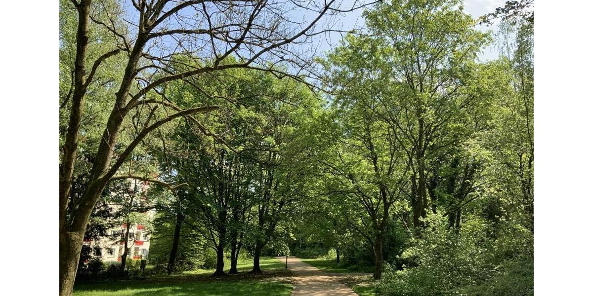 Etagenwohnung Essen Stadtbezirk III - 2 Zimmer, 65 m&sup2;, 589&euro; | Angebot:23594374