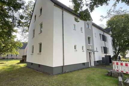 Wohnung Gelsenkirchen Gelsenkirchen-West - 2.5 Zimmer, 46 m&sup2;, 359&euro; | Angebot:27339355