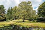 Mehrfamilienhaus, Wohnhaus Oer-Erkenschwick Erkenschwick - 12 Zimmer, 360 m&sup2;, 1.780.000&euro; | Angebot:27163325