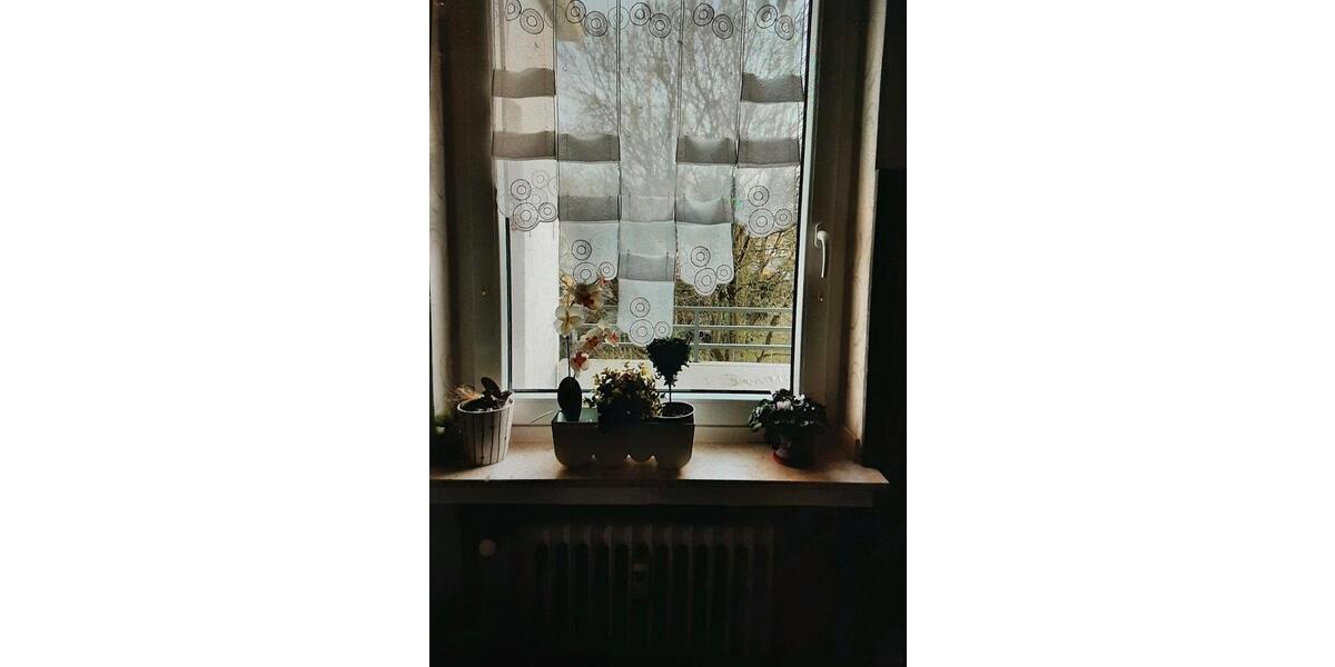 Dachgeschoßwohnung Bochum Bochum-Mitte - 1 Zimmer, 48 m&sup2;, 4.000&euro; | Angebot:25408471