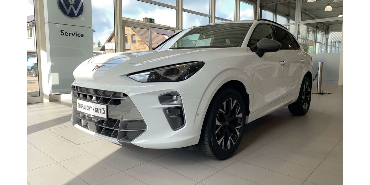 Cupra Terramar 26.020 km 32.350 &euro; Hünxe 46569