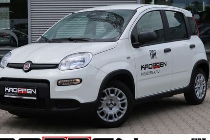 Fiat Panda 11.000 km 13.480 &euro; Herten 45701