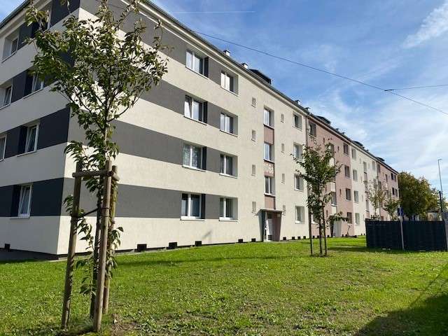 Etagenwohnung Essen Frohnhausen - 2 Zimmer, 46 m&sup2;, 439&euro; | Angebot:26149930
