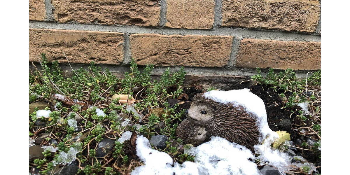 Doppelhaushälfte Wesel Schepersfeld - 5 Zimmer, 120 m&sup2;, 408.000&euro; | Angebot:26325725