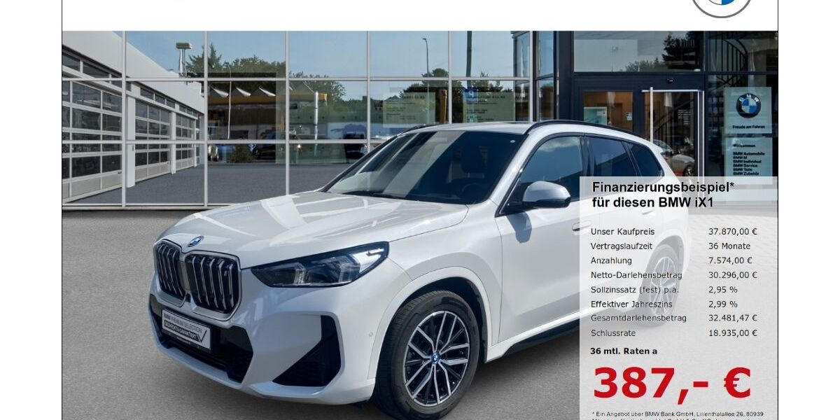 BMW iX1 74.483 km 37.870 &euro; Borken 46325