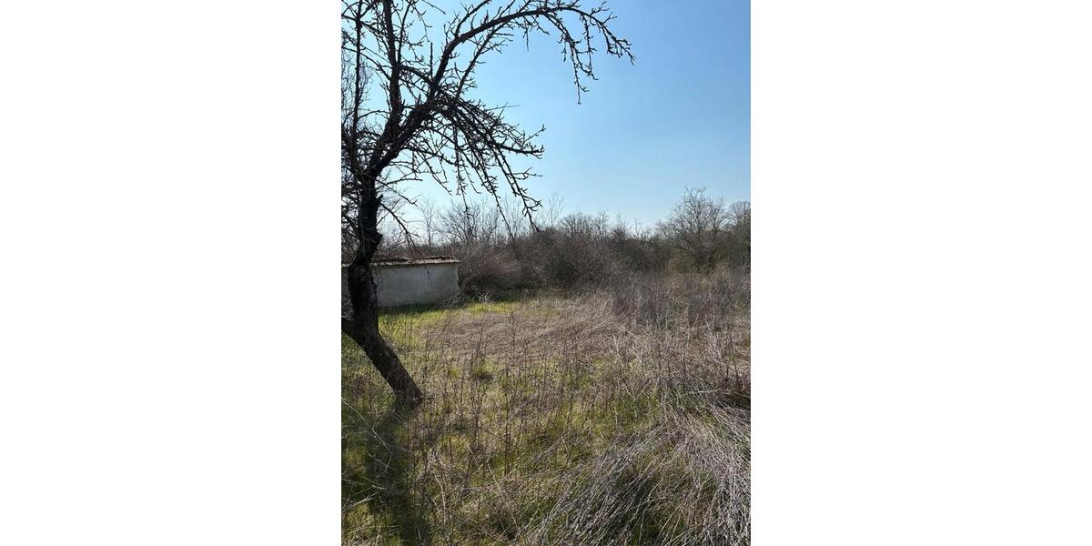 Einfamilienhaus Duisburg Walsum - 3 Zimmer, 70 m&sup2;, 55.000&euro; | Angebot:26311970