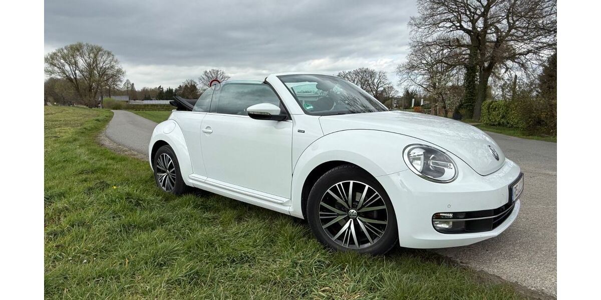 VW Beetle 90.683 km 13.600 &euro; Dorsten 46282