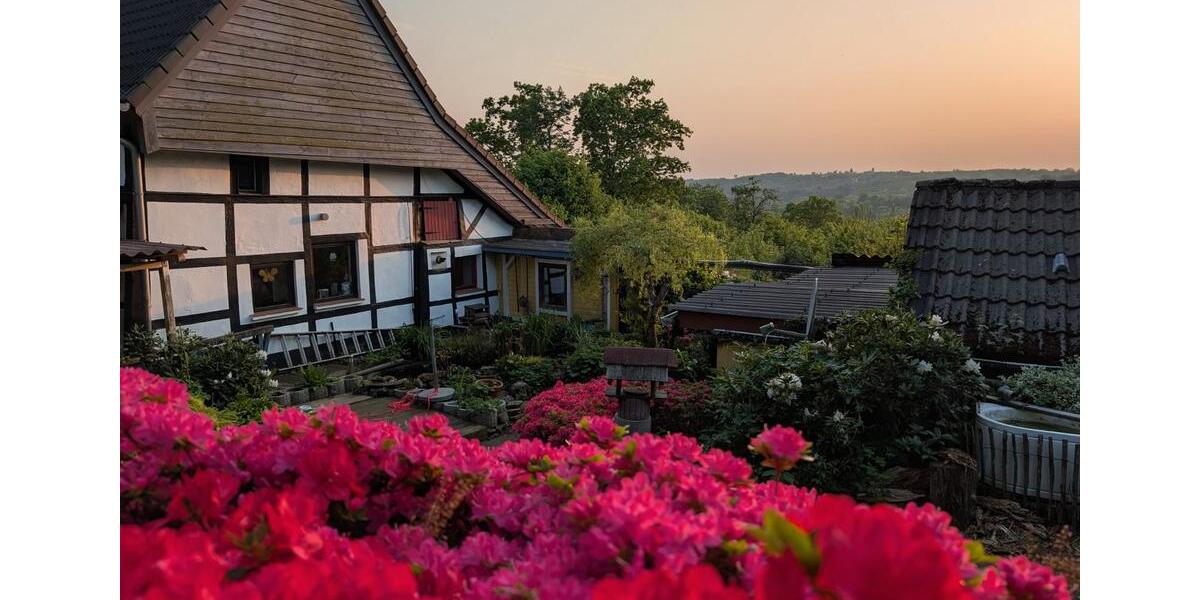 Einfamilienhaus Essen Stadtbezirk II - 4 Zimmer, 113 m&sup2;, 495.000&euro; | Angebot:26302954