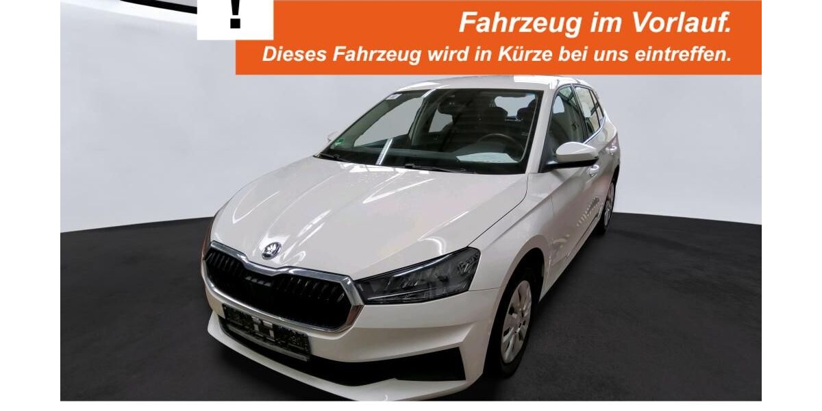 Skoda Fabia 48.598 km 14.350 &euro; Borken 46325