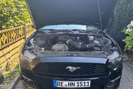 Ford Mustang 63.500 km 20.499 &euro; Marl 45772