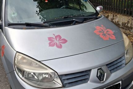 Renault Scenic 171.458 km 850 &euro; Oberhausen 46045