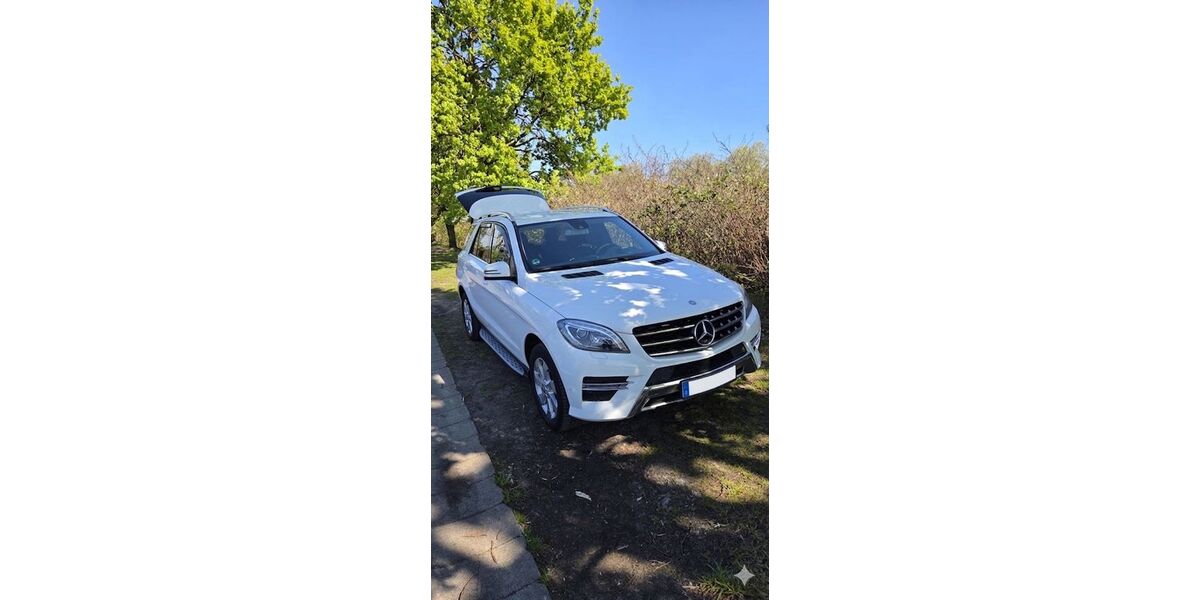 Mercedes-Benz ML 250 273.000 km 14.999 &euro; Herne 44629