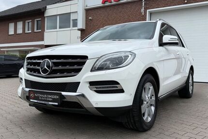 Mercedes-Benz ML 350 323.000 km 12.950 &euro; Hamminkeln 46499