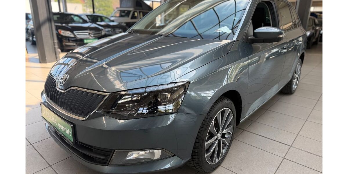 Skoda Fabia 248.500 km 6.290 &euro; Bottrop 46236