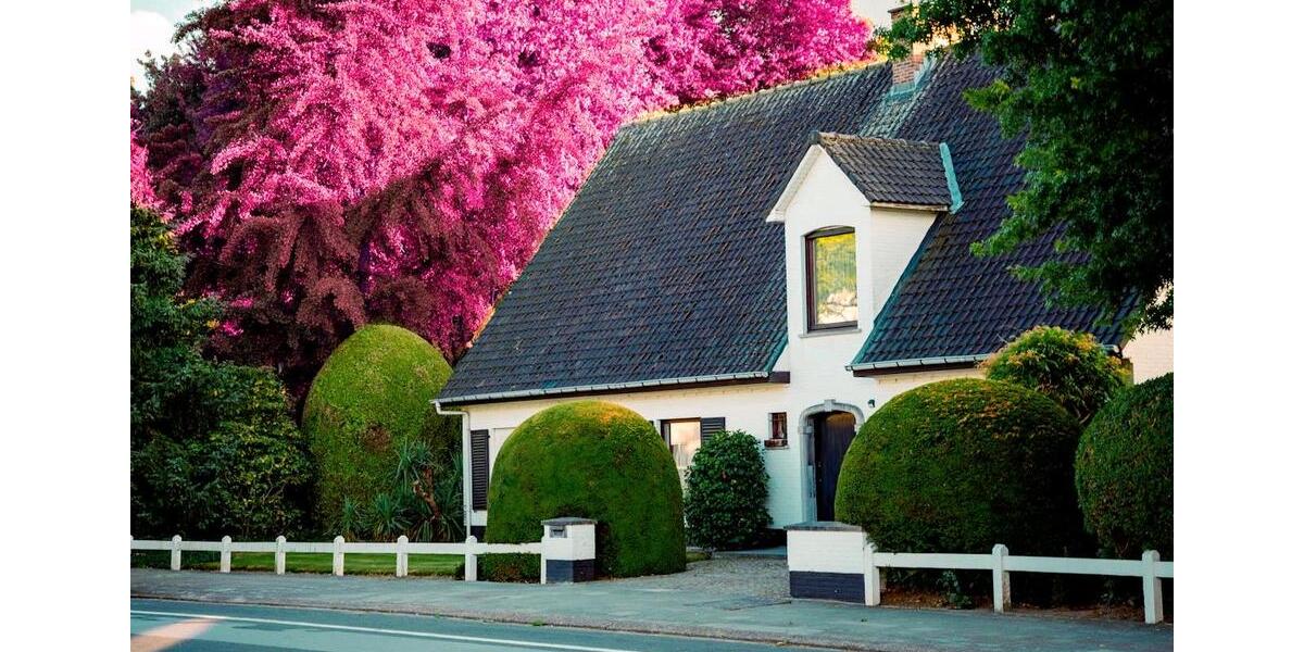 Einfamilienhaus Essen Stadtbezirk VIII - 600.000&euro; | Angebot:26034370