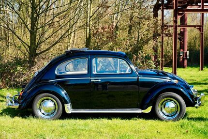 VW Käfer 57.180 km 17.500 &euro; Oberhausen 46049