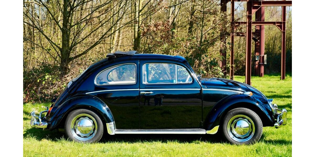 VW Käfer 57.180 km 17.500 &euro; Oberhausen 46049