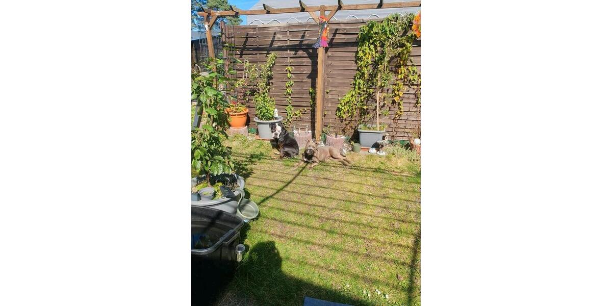 Einfamilienhaus Mülheim an der Ruhr Linksruhr - 2 Zimmer, 25 m&sup2;, 19.950&euro; | Angebot:26130687