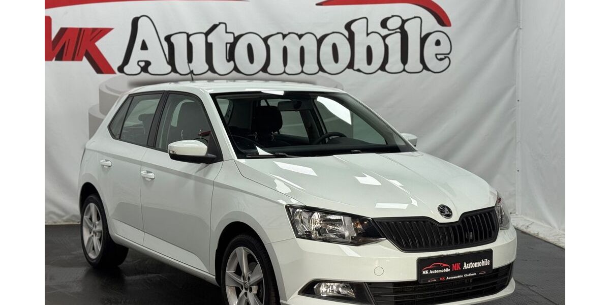 Skoda Fabia 49.900 km 8.990 &euro; Gladbeck 45968