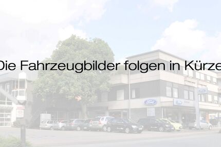 Ford Puma 25.173 km 21.476 &euro; Borken 46325