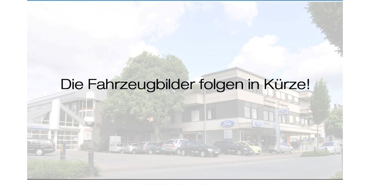 Ford Tourneo Custom 153.872 km 25.974 &euro; Borken 46325