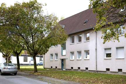 Wohnung Gelsenkirchen Ückendorf - 2.5 Zimmer, 40 m&sup2;, 299&euro; | Angebot:26238831
