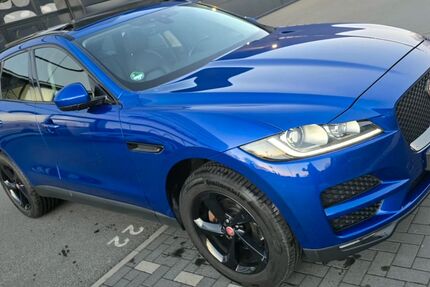 Jaguar F-Pace 173.000 km 15.999 &euro; Dinslaken 46535