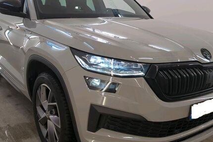 Skoda Kodiaq 176.400 km 22.491 &euro; Recklinghausen 45661