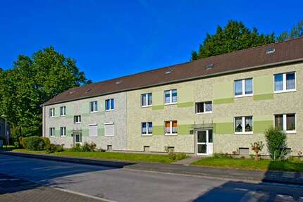 Wohnung Recklinghausen Grullbad - 3 Zimmer, 58 m&sup2;, 255&euro; | Angebot:27098360