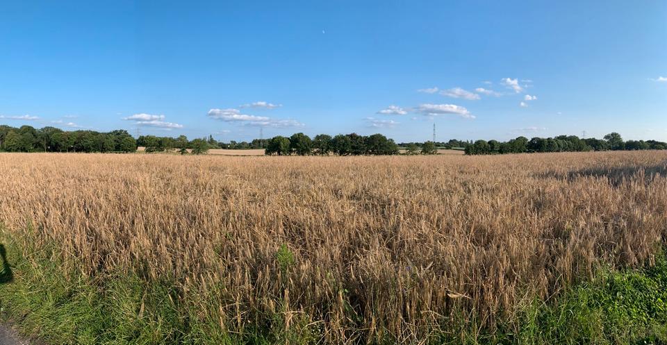 Maisonettenwohnung Oberhausen Schmachtendorf - 3 Zimmer, 90 m&sup2;, 339.000&euro; | Angebot:26285748