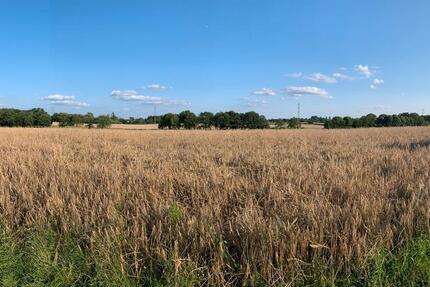 Wohnung Oberhausen Schmachtendorf - 3 Zimmer, 90 m&sup2;, 339.000&euro; | Angebot:26285748