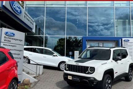 Jeep Renegade 105.200 km 22.850 &euro; Dülmen 48249