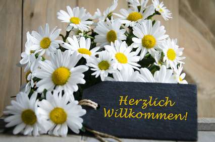 Etagenwohnung Datteln - 1 Zimmer, 42 m&sup2;, 357&euro; | Angebot:26257925