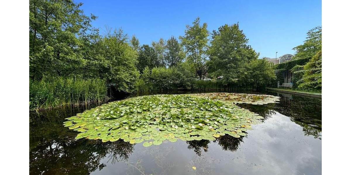 Gewerbeobjekt Essen Bergerhausen - 179&euro; | Angebot:26148880