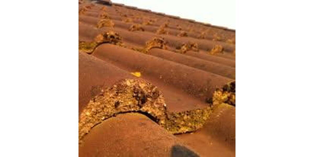 Doppelhaushälfte Wesel Schepersfeld - 5 Zimmer, 120 m&sup2;, 408.000&euro; | Angebot:26325725