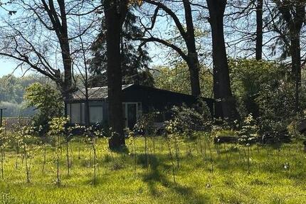 Wohnung Dorsten Alt-Wulfen - 2 Zimmer, 50 m&sup2;, 150&euro; | Angebot:26279889