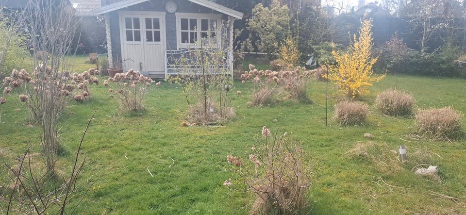 Einfamilienhaus Rhede - 6 Zimmer, 152 m&sup2;, 340.000&euro; | Angebot:26193448