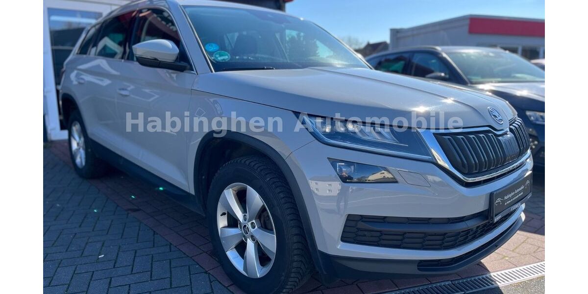 Skoda Kodiaq 225.000 km 17.700 &euro; Castrop Rauxel 44579