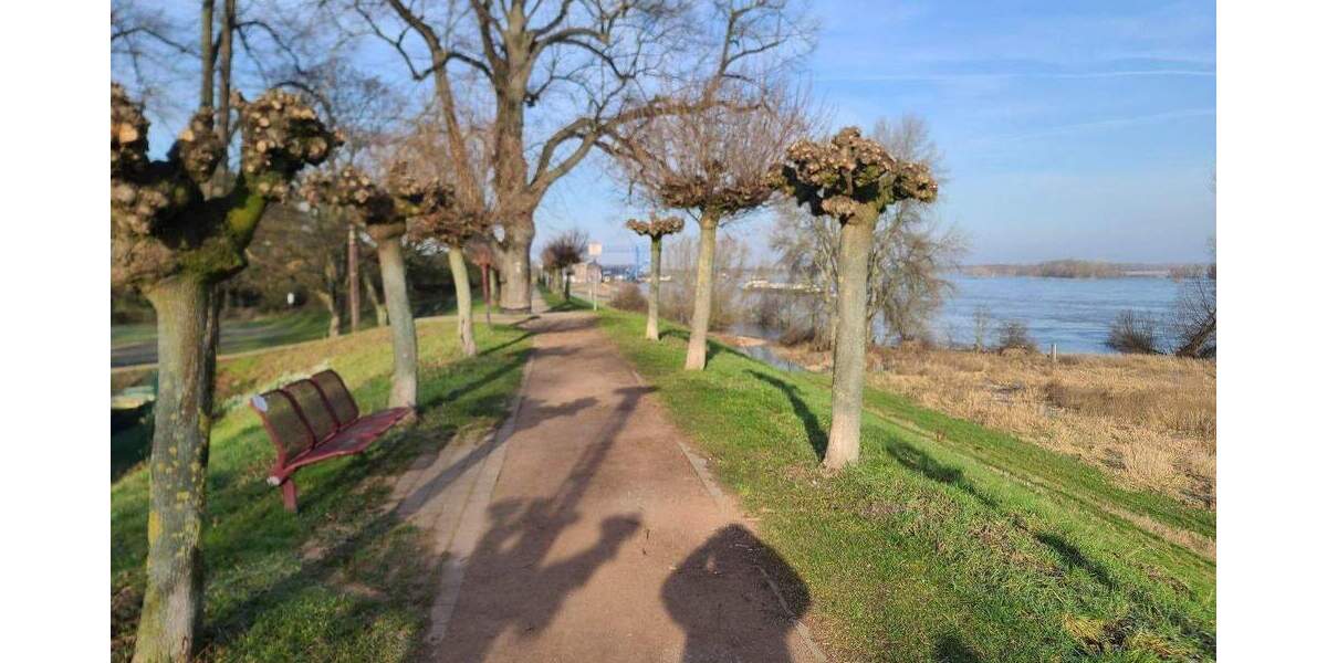 Doppelhaushälfte Rheinberg Orsoy - 7 Zimmer, 126 m&sup2;, 370.000&euro; | Angebot:25781574