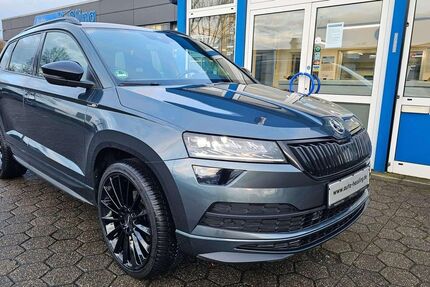 Skoda Karoq 118.200 km 22.900 &euro; Raesfeld-Erle 46348