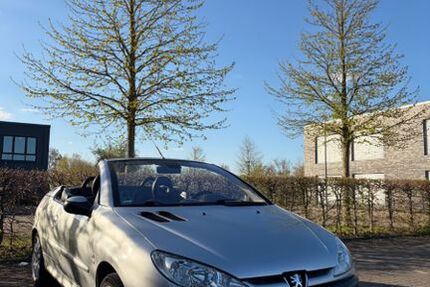 Peugeot 206 159.980 km 1.599 &euro; Herten 45699