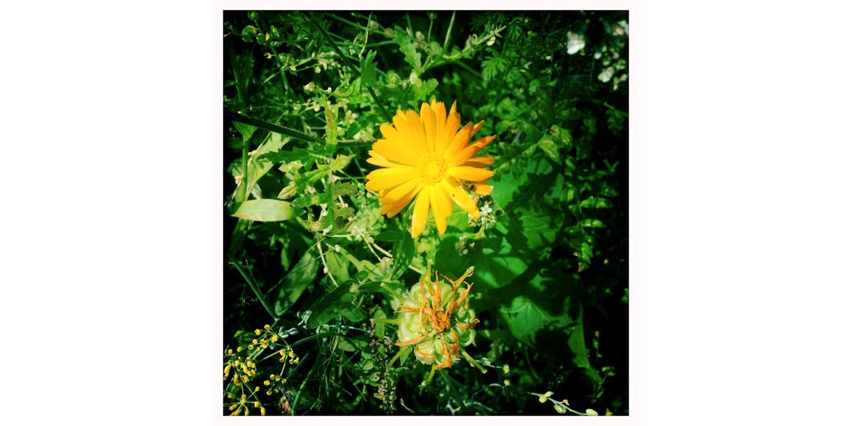 Einfamilienhaus Dülmen - 5 Zimmer, 150 m&sup2;, 369.000&euro; | Angebot:26296394