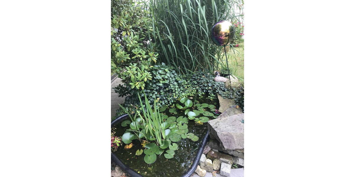 Mehrfamilienhaus, Wohnhaus Mülheim an der Ruhr Eppinghofen - 1 Zimmer, 220 m&sup2;, 739.000&euro; | Angebot:26316353