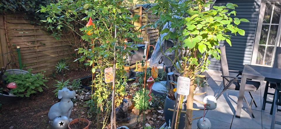 Einfamilienhaus Olfen - 89.900&euro; | Angebot:26226559